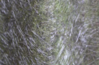 New Ground fibreglass roof work